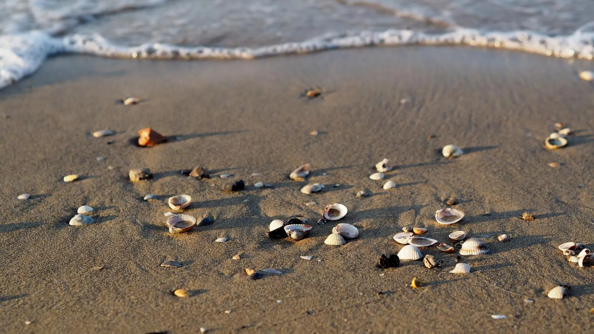 Apartment Seaview Flat Perfect For Families-Beahost Rentals Bibione Italy